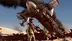 اکانت قانونی UNCHARTED The Nathan Drake Collection برای PS5 و PS4