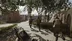 اکانت قانونی Insurgency: Sandstorm برای PS5 و PS4
