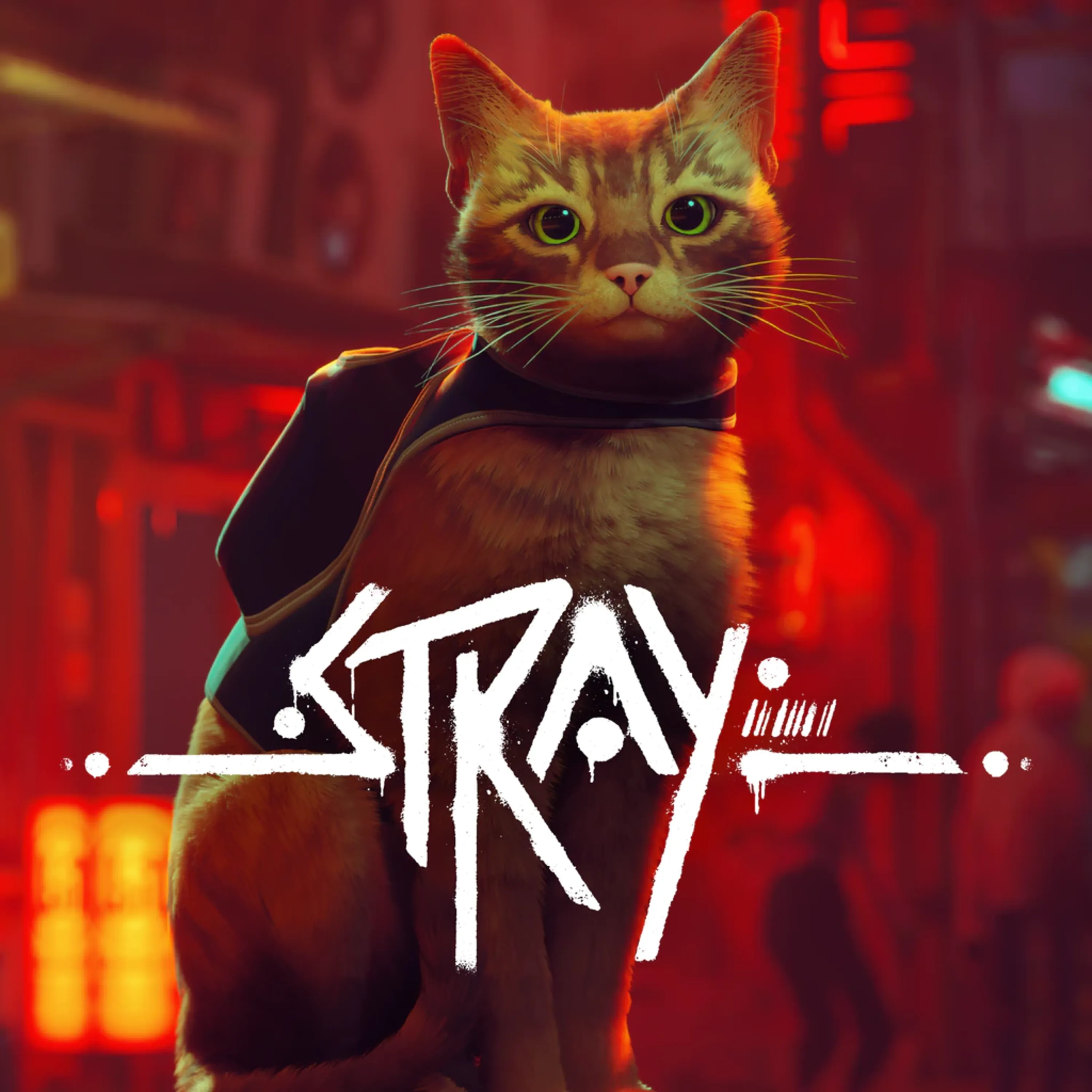 اکانت قانونی Stray برای PS5 و PS4