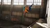 اکانت قانونی Tony Hawk's Pro Skater 1 + 2 برای PS5 و PS4