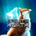 اکانت قانونی Spirit of the North برای PS5 و PS4