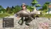 اکانت قانونی Pro Fishing Simulator برای PS5 و PS4