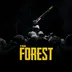 اکانت قانونی The Forest برای PS5 و PS4