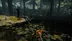 اکانت قانونی The Forest برای PS5 و PS4