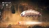 اکانت قانونی Hollow Knight: Voidheart Edition برای PS5 و PS4