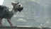 اکانت قانونی The Last Guardian برای PS5 و PS4