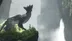 اکانت قانونی The Last Guardian برای PS5 و PS4