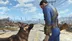 اکانت قانونی Fallout 4 برای PS5 و PS4