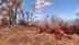 اکانت قانونی Fallout 4 برای PS5 و PS4