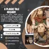 اکانت قانونی A Plague Tale: Requiem برای PS5